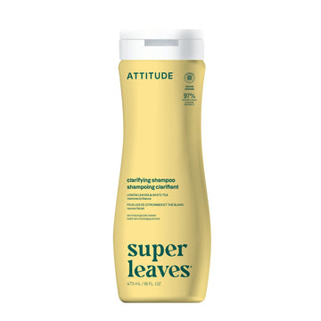 ATTITUDE front bottle view showing label and 16 fl oz size, highlights clean formula