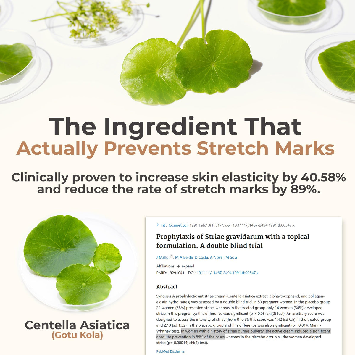 8 SHEEP ORGANICS applying serum to belly for improved skin feel