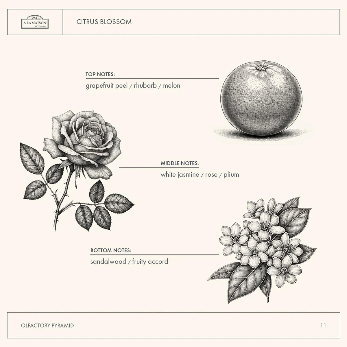 A LA MAISON label ingredients closeup illustrating natural plant-based benefits