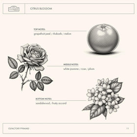 A LA MAISON label ingredients closeup illustrating natural plant-based benefits