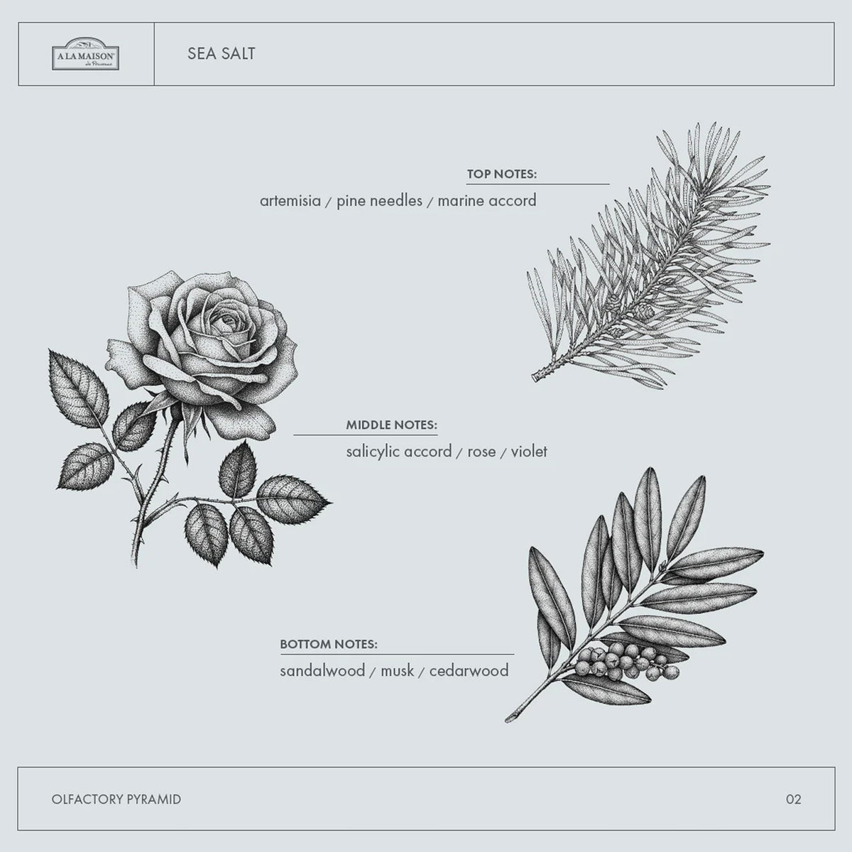 A LA MAISON ingredient label close-up, clarifying formulation transparency benefit
