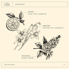 A LA MAISON ingredients panel showing plant-based oils and clean formulation