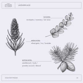 A LA MAISON label and ingredient list emphasizing plant-based formula