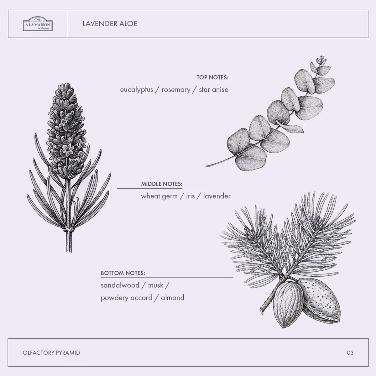 A LA MAISON ingredients label showing plant-based, vegan, biodegradable formulation benefits