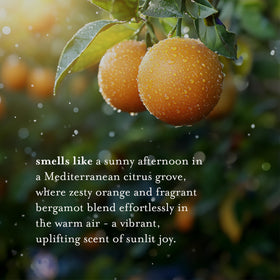 A LA MAISON lather close-up showing texture and gentle cleansing action