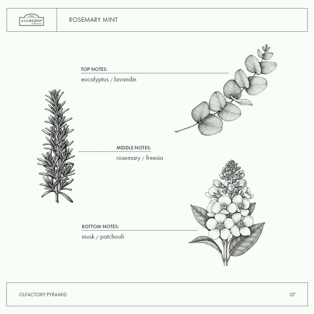 A LA MAISON ingredient label detail highlighting plant-based, vegan formula