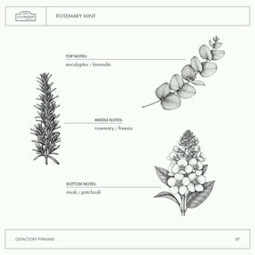 A LA MAISON ingredient label detail highlighting plant-based, vegan formula