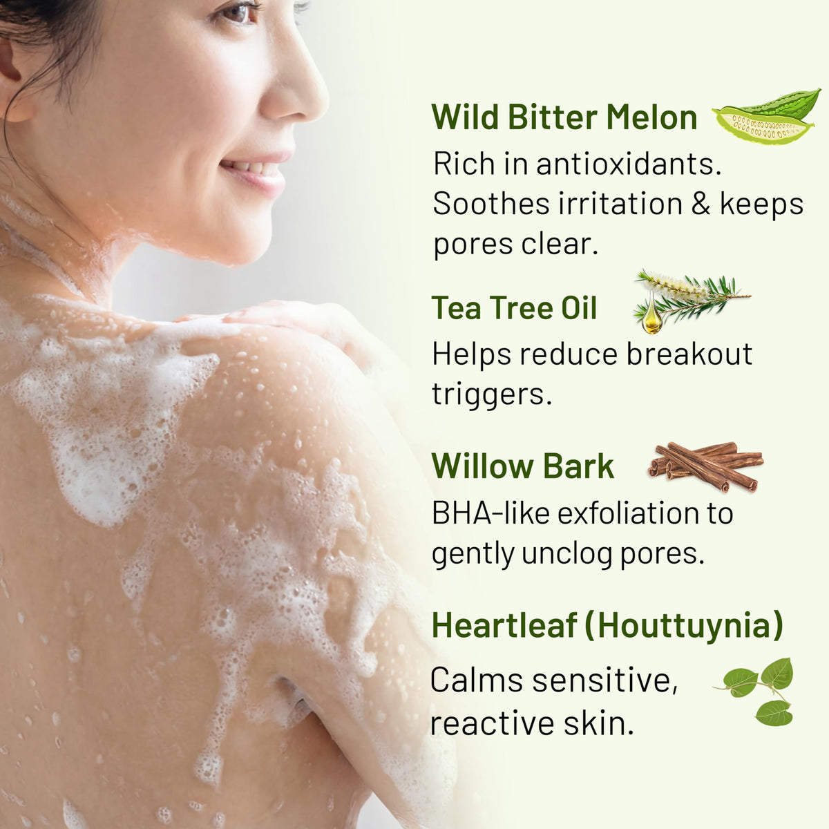 ABERA white willow bark ingredient detail for BHA exfoliation benefit