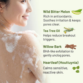 ABERA white willow bark ingredient detail for BHA exfoliation benefit