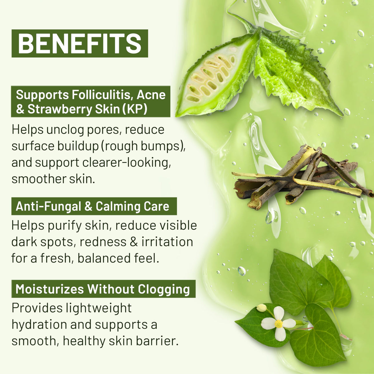 ABERA wild bitter melon ingredient visual supporting pore clarity