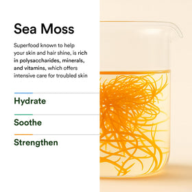 Abib clear spot serum pump detail highlighting controlled, hygienic dispensing