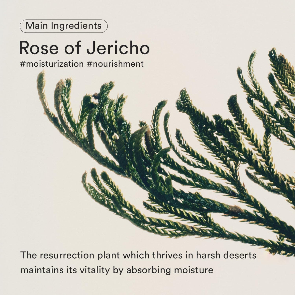 Abib serum dispensing from pump demonstrating easy controlled application
