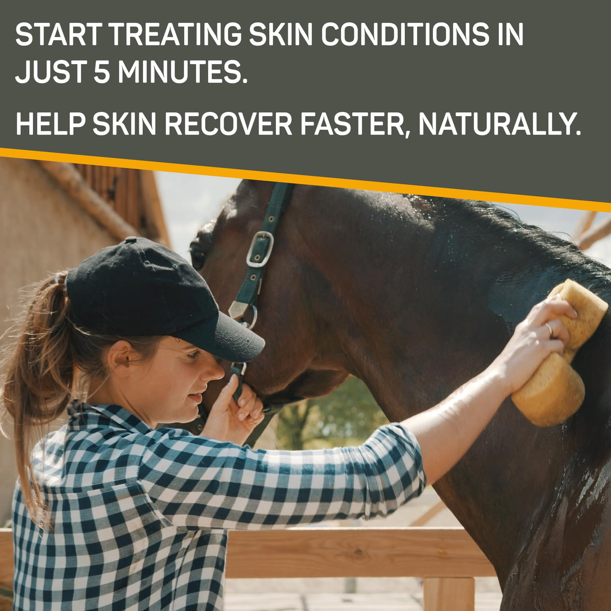 Absorbine Silver Honey with Manuka honey close-up highlighting natural ingredient
