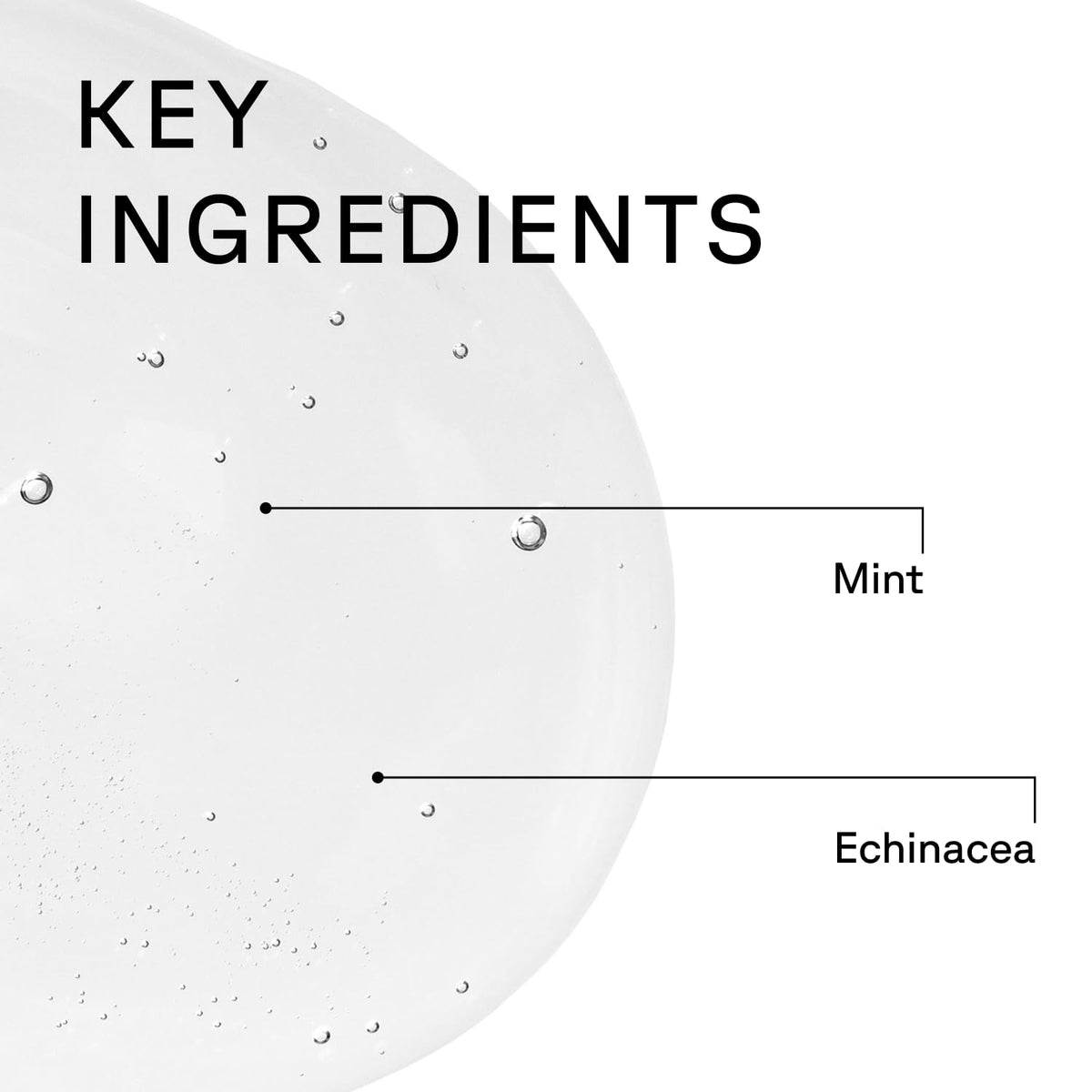 Acure peppermint and echinacea botanicals showing invigorating ingredients