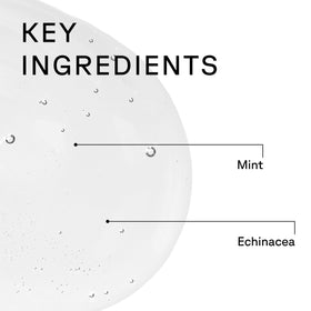 Acure peppermint and echinacea botanicals showing invigorating ingredients