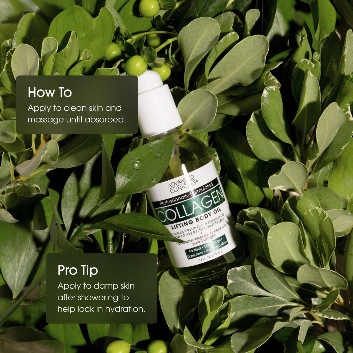 Advanced Clinicals ingredients flatlay featuring botanicals and vitamins for antioxidant benefits