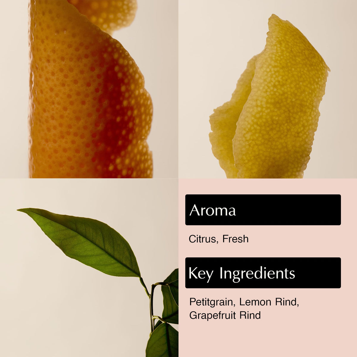 Aesop bottle cap and label detail highlighting recycled-plastic packaging benefits