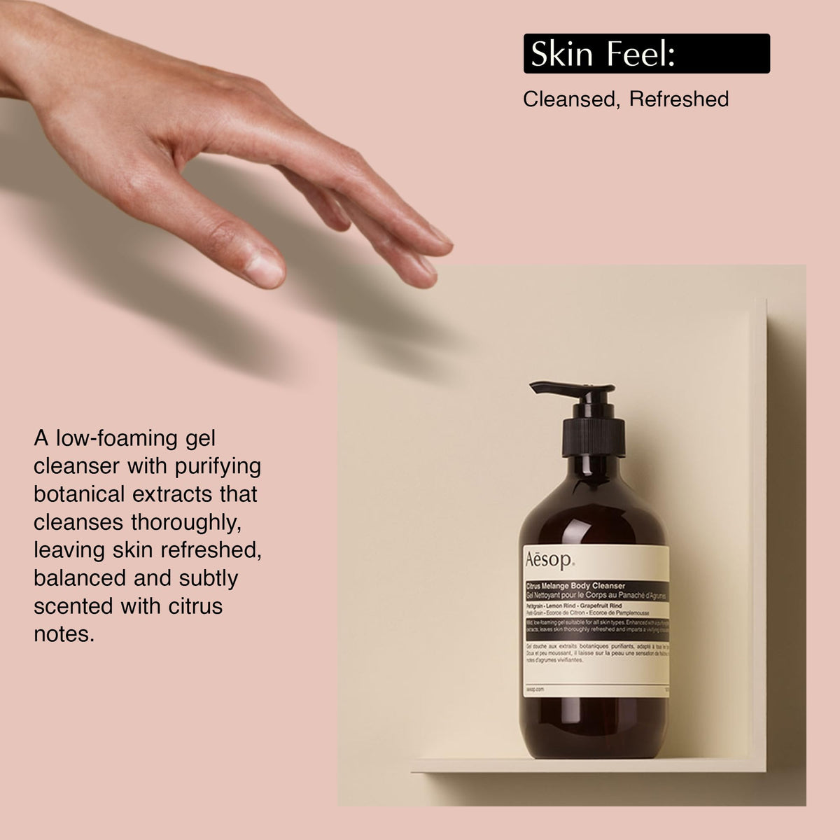 Aesop 500 mL bottle next to everyday items showing size and long-lasting value