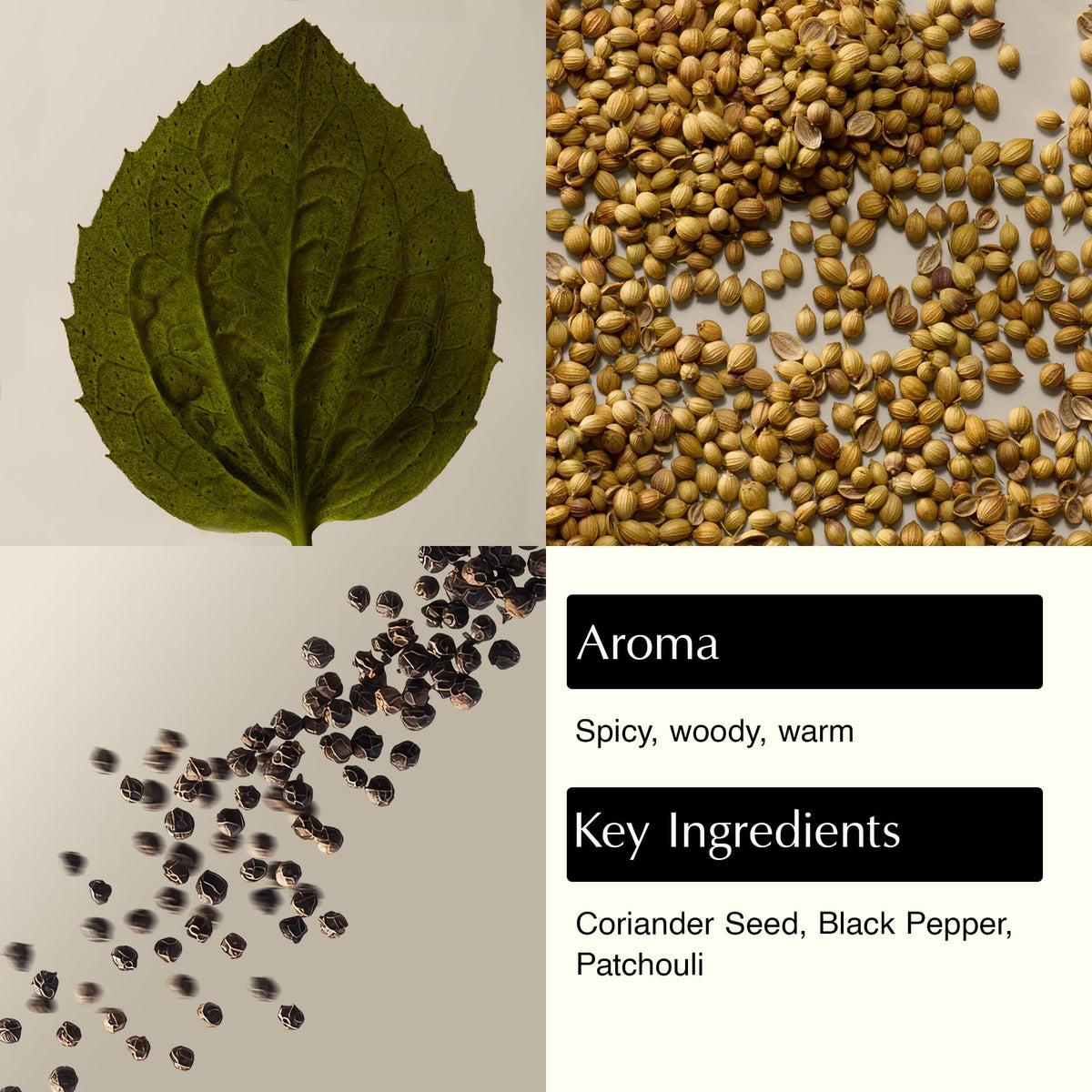 Aesop pump dispensing cleanser for convenient controlled use
