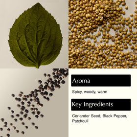Aesop pump dispensing cleanser for convenient controlled use