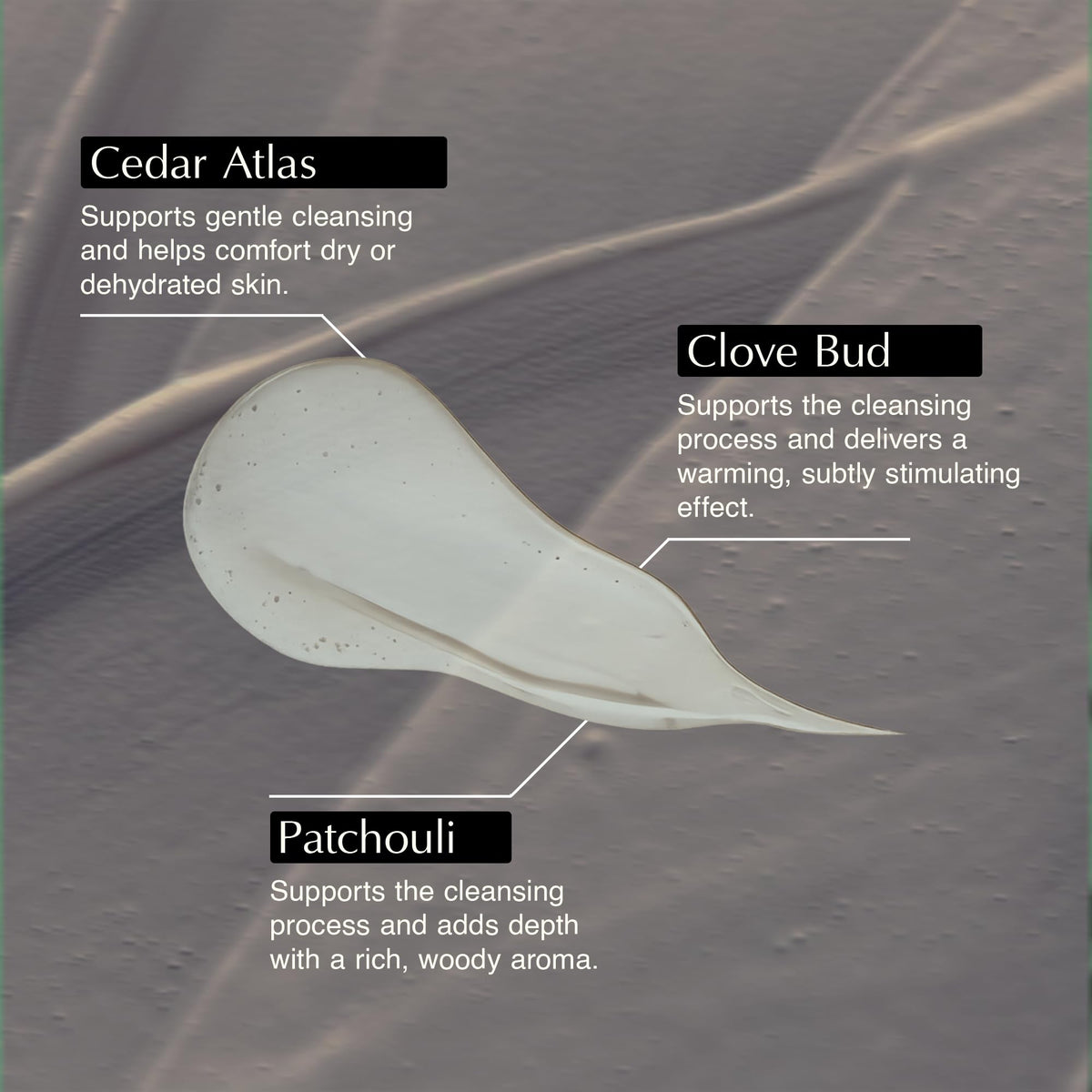 Aesop Eleos ingredient botanicals of lavender and cedar illustrating natural extracts