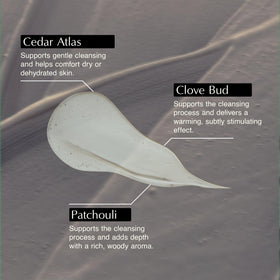 Aesop Eleos ingredient botanicals of lavender and cedar illustrating natural extracts