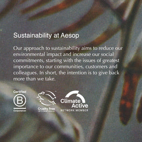 Aesop bergamot frankincense cedar ingredients styled together showing natural fragrance benefit