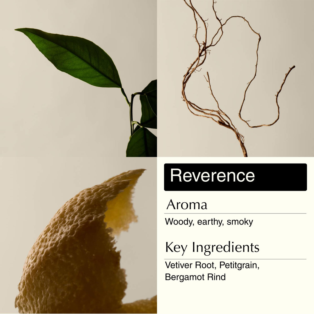 Aesop label detail with ingredient names highlighting natural botanicals