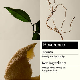 Aesop label detail with ingredient names highlighting natural botanicals