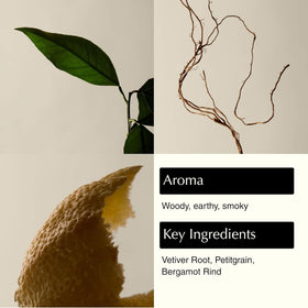 Aesop reverence close-up of fine-grain gel texture showing gentle exfoliation benefit