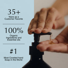Aesop vetiver and petitgrain ingredient display conveying botanical sourcing and scent benefit