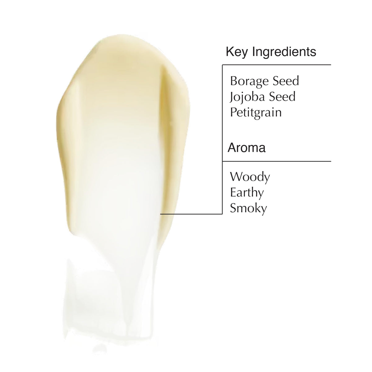 Aesop Reverence key ingredients flatlay including macadamia seed oil and shea butter for nourishment