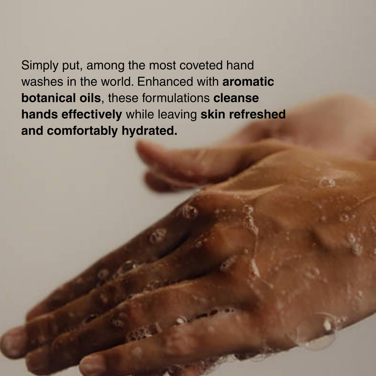 Aesop Reverence close-up of pumice texture for gentle exfoliation benefit