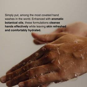 Aesop Reverence close-up of pumice texture for gentle exfoliation benefit