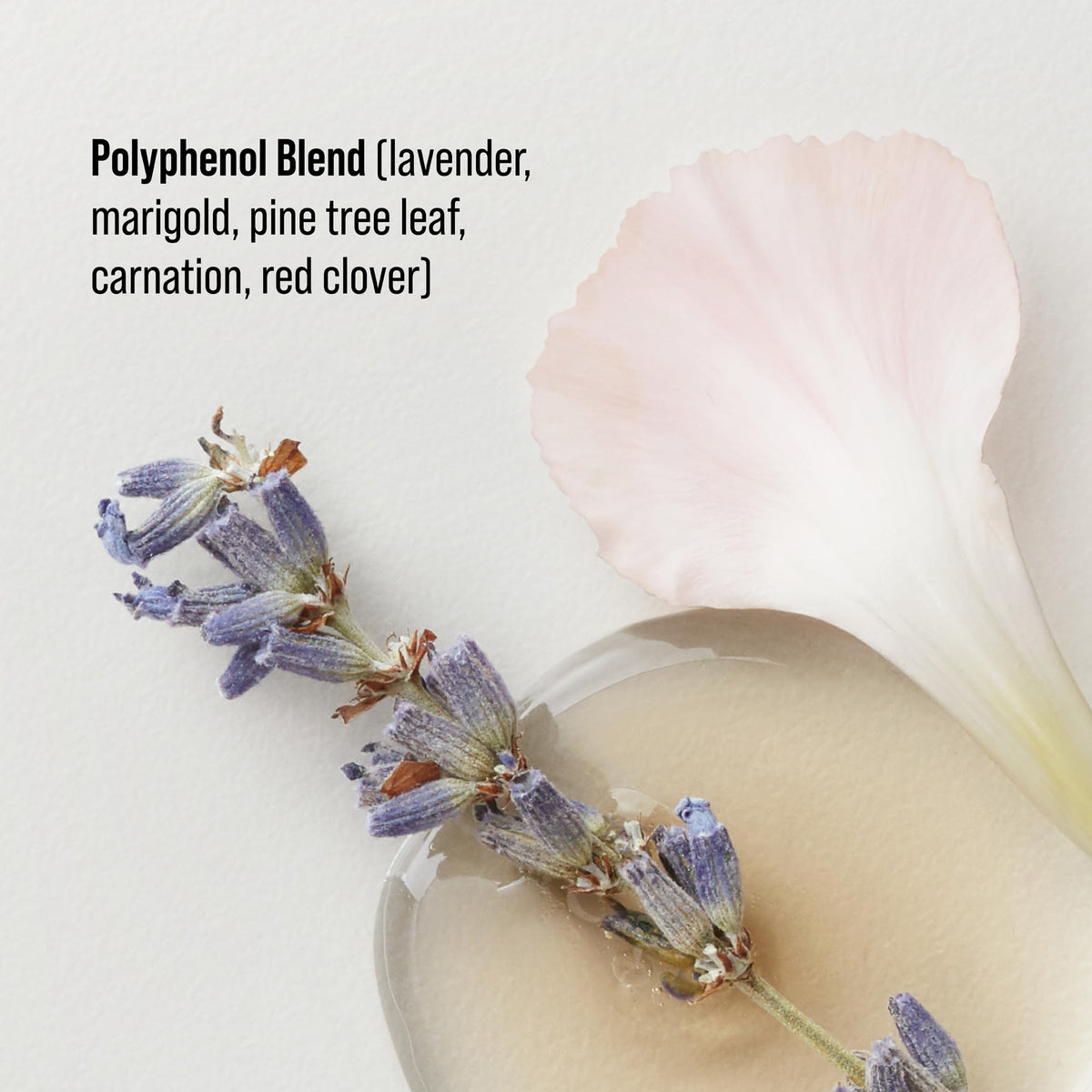 AG Care Colour Savour being worked through colour-treated hair to help preserve vibrancy