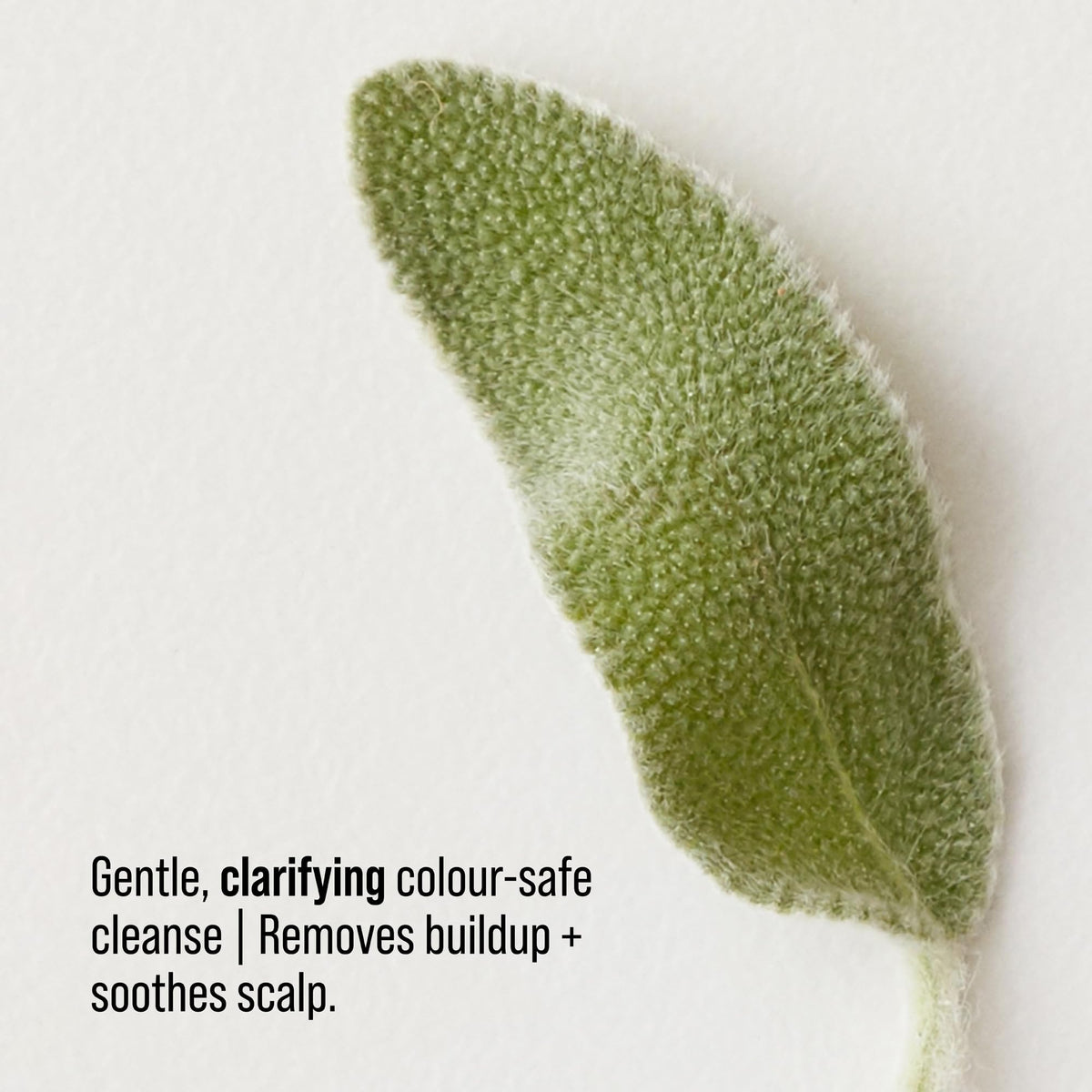 AG Care Renew foam texture demonstrating gentle lather and cleansing