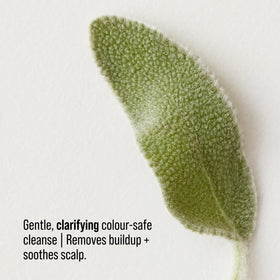 AG Care Renew foam texture demonstrating gentle lather and cleansing
