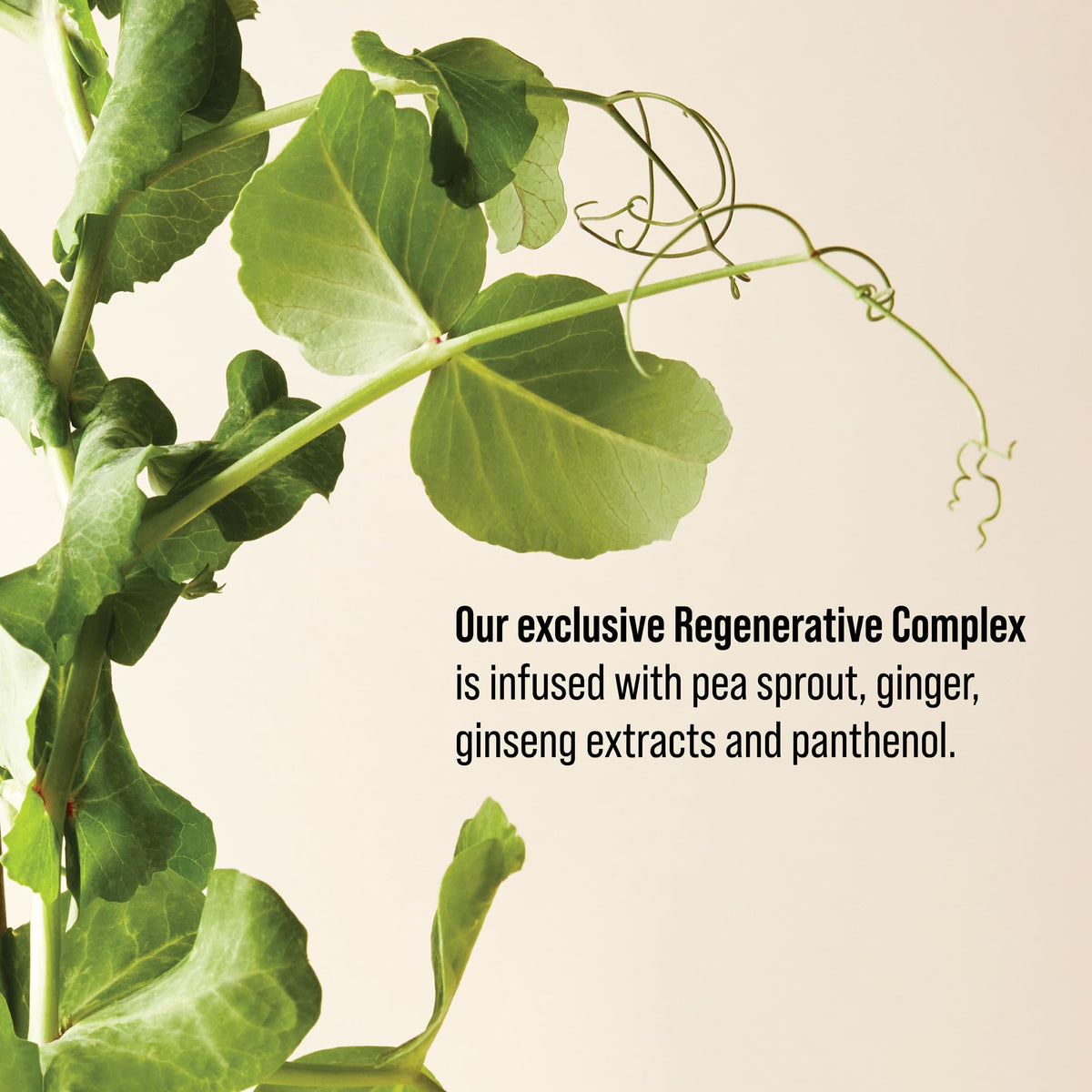 AG Care foam volumizer label close-up highlighting regenerative complex benefit