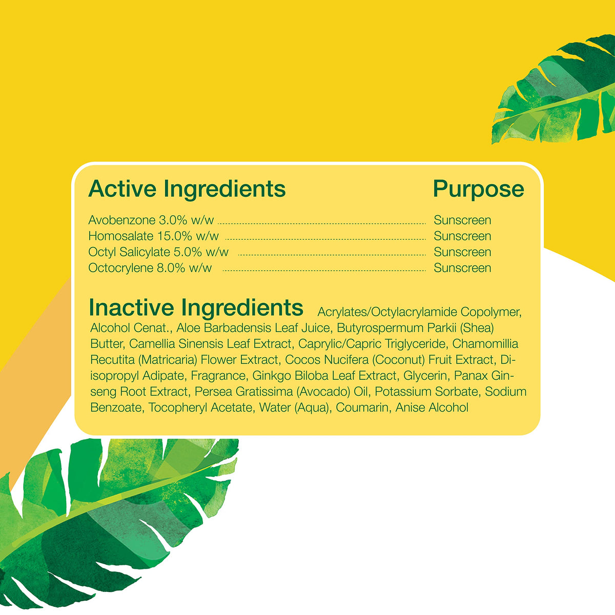 Alba Botanica spray in use on beach demonstrating water-resistant protection