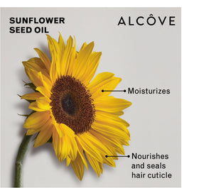 Alcôve ingredients shot with argan, pomegranate, mango emphasizing nourishment