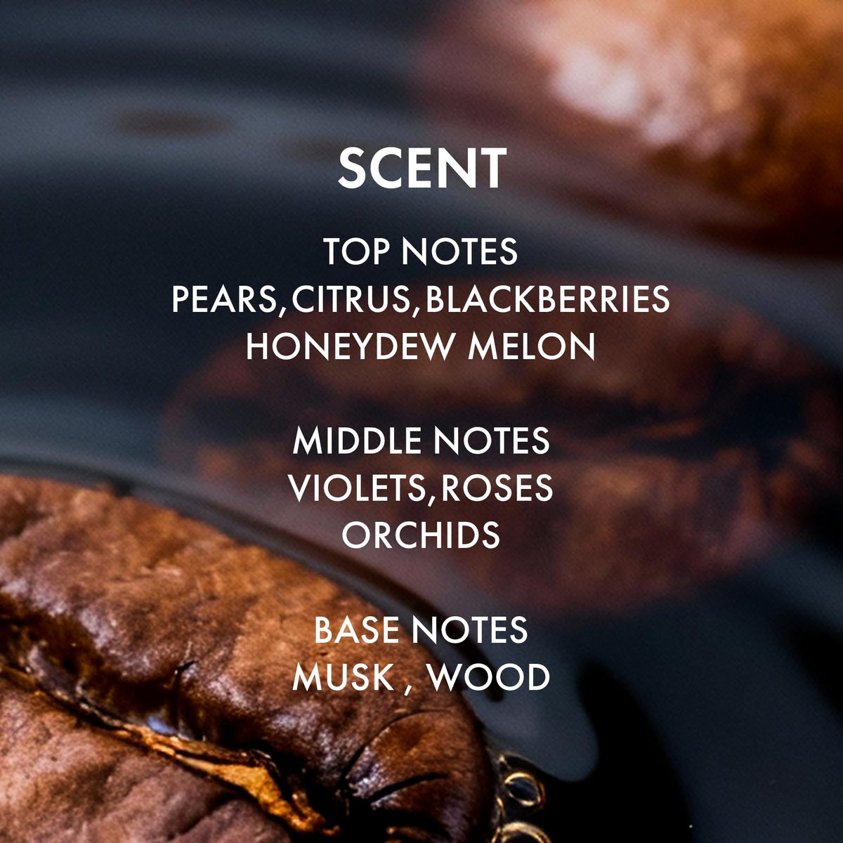 ALFHEIM Arabica coffee oil ingredient shot highlighting nourishing botanicals
