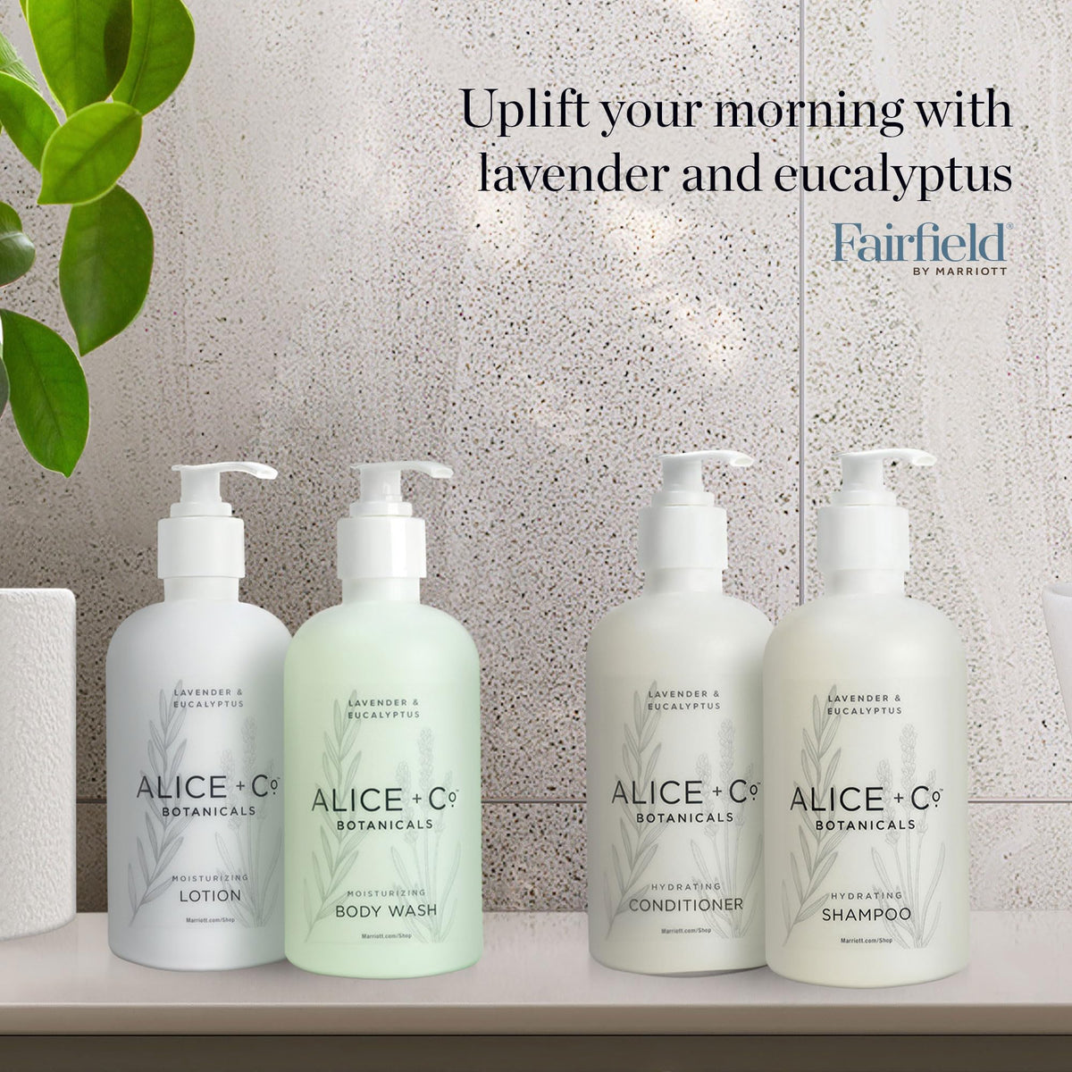 Alice + Co. gift-ready presentation suggesting hospitality-grade amenity for take-home
