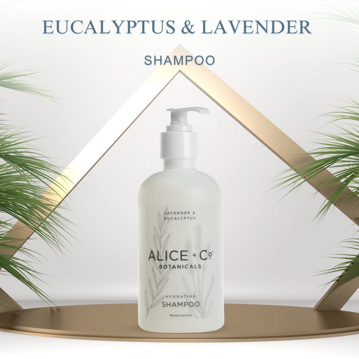 Alice + Co. back label with ingredients and paraben-free benefit visible