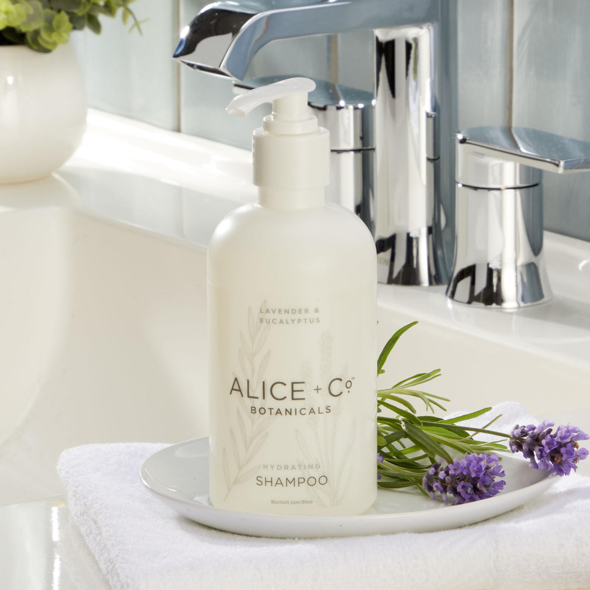 Alice + Co. bottle on hotel vanity evoking spa-like guestroom experience