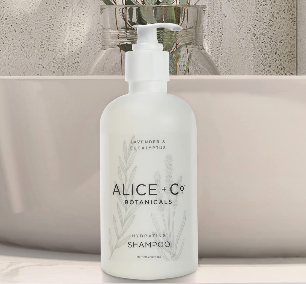 Alice + Co. size comparison in hand illustrating travel-friendly 8.5 oz bottles