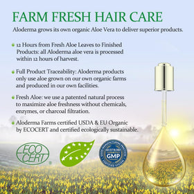 Aloderma conditioner in hand for size and usage reference
