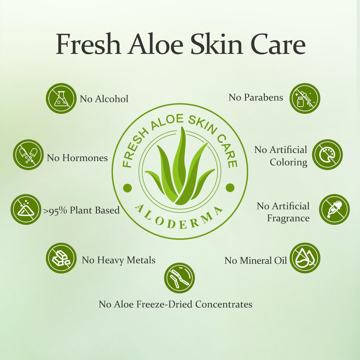Aloderma aloe field view on farm showing fresh-sourced ingredient quality