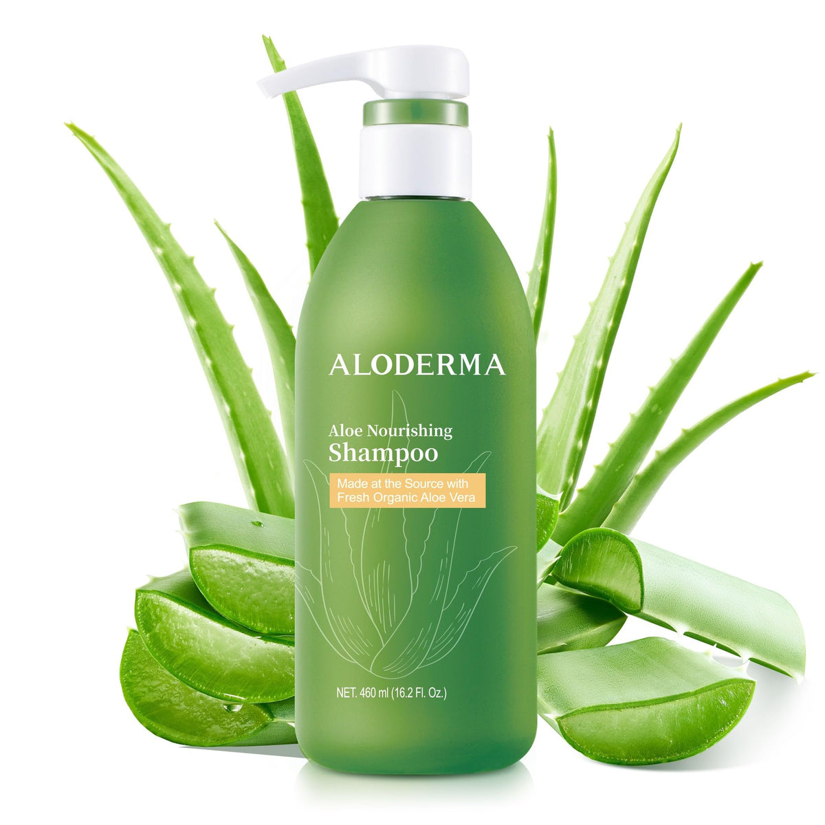 Aloderma shampoo front bottle view showing organic aloe and gentle cleanse benefit
