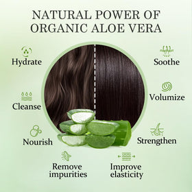 Aloderma shampoo texture lather demonstrating creamy foam for gentle cleansing