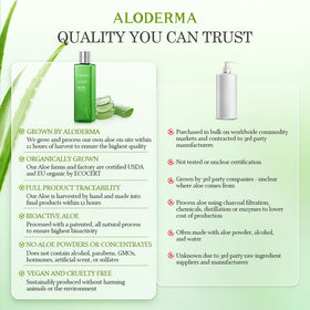 Aloderma 240ml bottle beside common object for clear size context